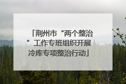 荆州市“两个整治”工作专班组织开展冷库专项整治行动