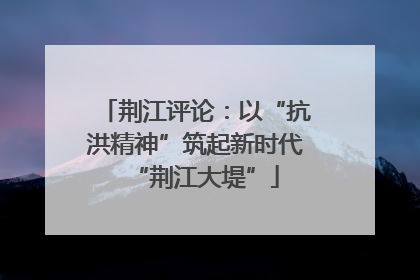 荆江评论：以“抗洪精神”筑起新时代“荆江大堤”