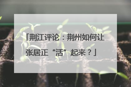 荆江评论：荆州如何让张居正“活”起来？