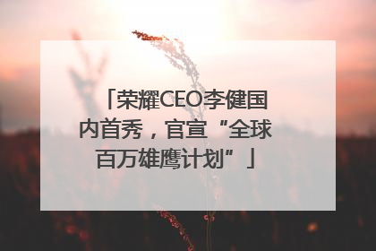 荣耀CEO李健国内首秀，官宣“全球百万雄鹰计划”