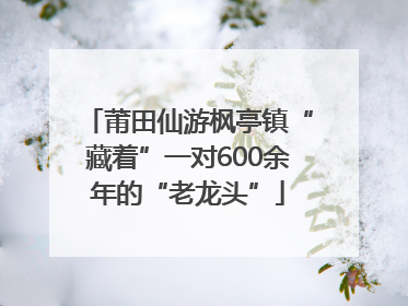 莆田仙游枫亭镇“藏着”一对600余年的“老龙头”