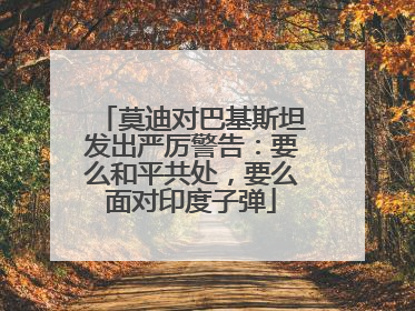 莫迪对巴基斯坦发出严厉警告：要么和平共处，要么面对印度子弹