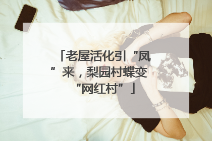老屋活化引“凤”来，梨园村蝶变“网红村”