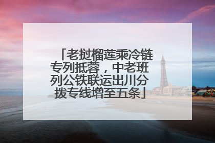 老挝榴莲乘冷链专列抵蓉，中老班列公铁联运出川分拨专线增至五条
