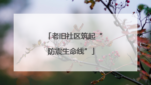 老旧社区筑起“防震生命线”
