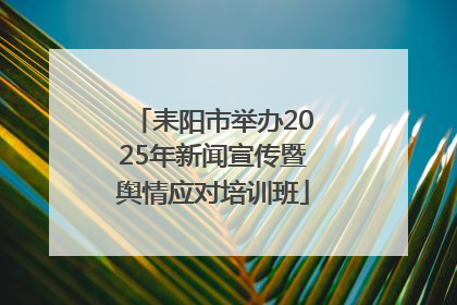 耒阳市举办2025年新闻宣传暨舆情应对培训班