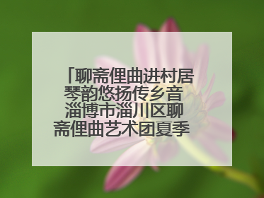 聊斋俚曲进村居 琴韵悠扬传乡音 淄博市淄川区聊斋俚曲艺术团夏季专场演出在杏园子村举行