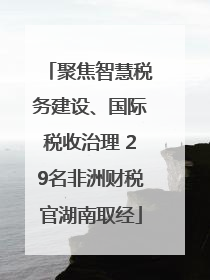 聚焦智慧税务建设、国际税收治理 29名非洲财税官湖南取经