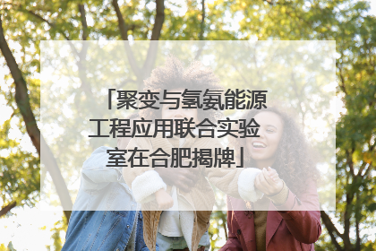 聚变与氢氨能源工程应用联合实验室在合肥揭牌