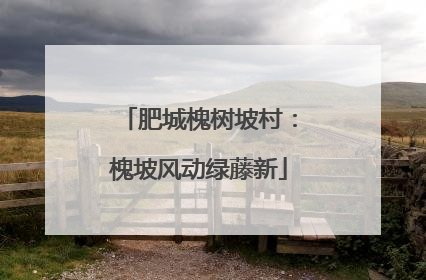 肥城槐树坡村：槐坡风动绿藤新