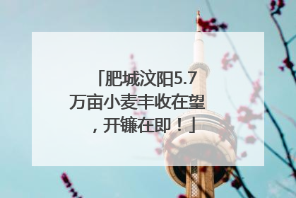 肥城汶阳5.7万亩小麦丰收在望，开镰在即！