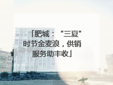 肥城：“三夏”时节金麦浪，供销服务助丰收