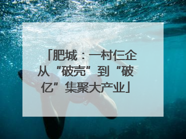 肥城：一村仨企从“破壳”到“破亿”集聚大产业