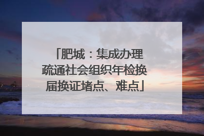 肥城：集成办理 疏通社会组织年检换届换证堵点、难点