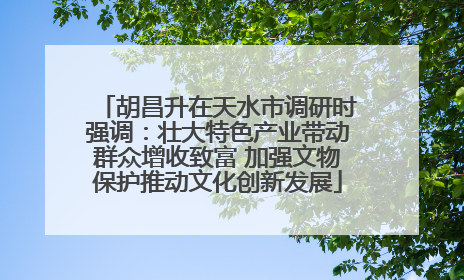 胡昌升在天水市调研时强调：壮大特色产业带动群众增收致富 加强文物保护推动文化创新发展