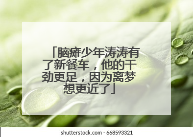 脑瘫少年涛涛有了新餐车，他的干劲更足，因为离梦想更近了