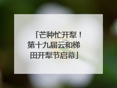 芒种忙开犁！第十九届云和梯田开犁节启幕