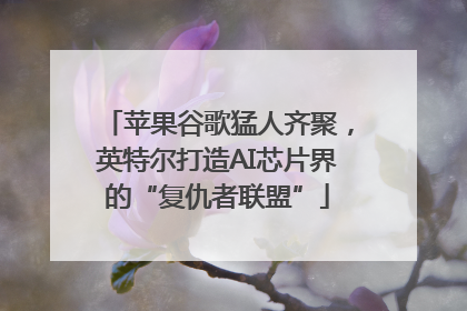 苹果谷歌猛人齐聚，英特尔打造AI芯片界的“复仇者联盟”