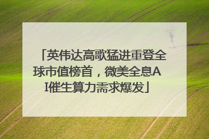 英伟达高歌猛进重登全球市值榜首，微美全息AI催生算力需求爆发