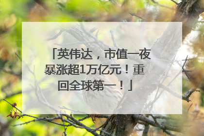 英伟达，市值一夜暴涨超1万亿元！重回全球第一！