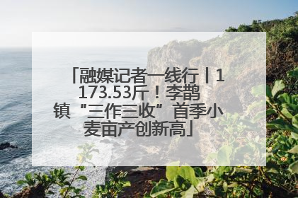 融媒记者一线行丨1173.53斤！李鹊镇“三作三收”首季小麦亩产创新高