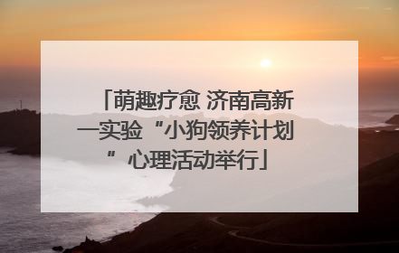 萌趣疗愈 济南高新一实验“小狗领养计划”心理活动举行