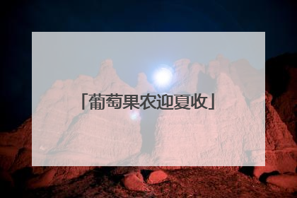 葡萄果农迎夏收