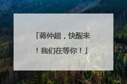 蒋仲超，快醒来！我们在等你！