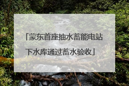 蒙东首座抽水蓄能电站下水库通过蓄水验收