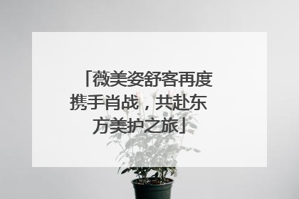 薇美姿舒客再度携手肖战，共赴东方美护之旅