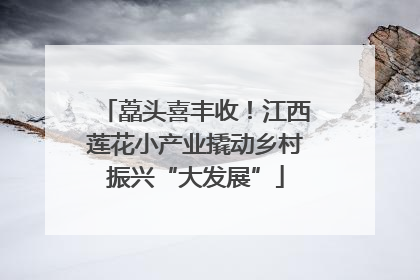 藠头喜丰收！江西莲花小产业撬动乡村振兴“大发展”