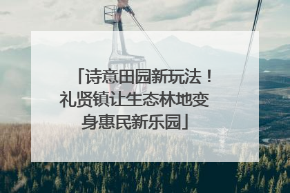 诗意田园新玩法！礼贤镇让生态林地变身惠民新乐园