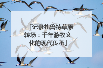 记录扎鲁特草原转场：千年游牧文化的现代传承