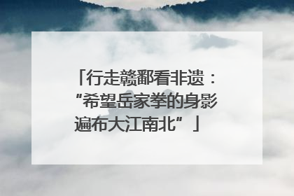 行走赣鄱看非遗：“希望岳家拳的身影遍布大江南北”