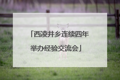 西凌井乡连续四年举办经验交流会