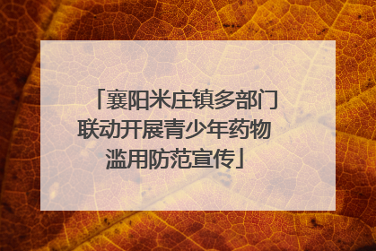 襄阳米庄镇多部门联动开展青少年药物滥用防范宣传