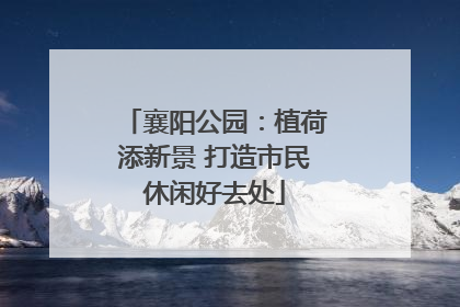 襄阳公园：植荷添新景 打造市民休闲好去处