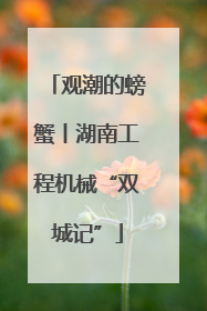观潮的螃蟹丨湖南工程机械“双城记”