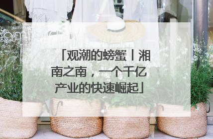 观潮的螃蟹丨湘南之南，一个千亿产业的快速崛起