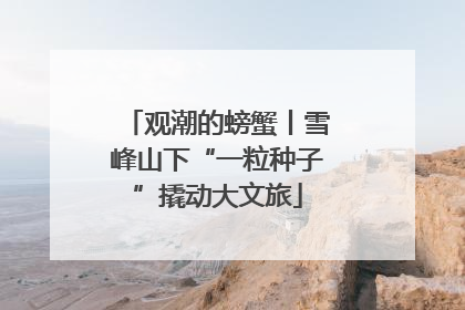 观潮的螃蟹丨雪峰山下“一粒种子”撬动大文旅