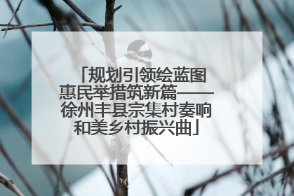 规划引领绘蓝图 惠民举措筑新篇——徐州丰县宗集村奏响和美乡村振兴曲