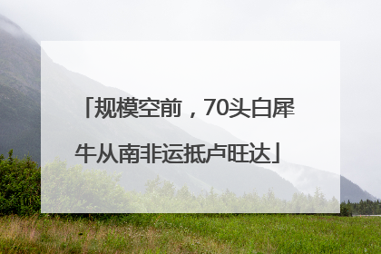 规模空前，70头白犀牛从南非运抵卢旺达