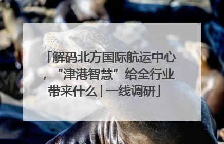 解码北方国际航运中心，“津港智慧”给全行业带来什么│一线调研