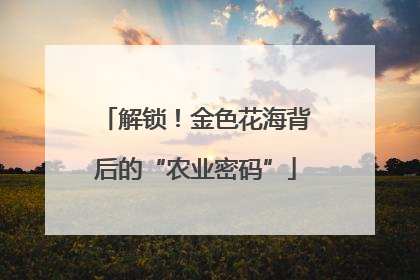 解锁！金色花海背后的“农业密码”