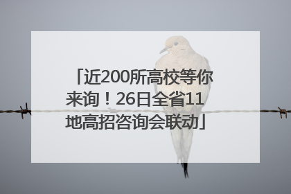 近200所高校等你来询！26日全省11地高招咨询会联动