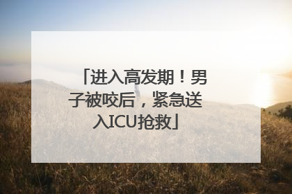 进入高发期！男子被咬后，紧急送入ICU抢救