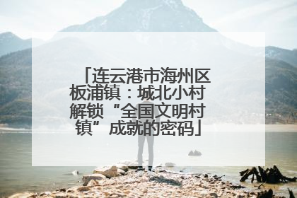 连云港市海州区板浦镇：城北小村解锁“全国文明村镇”成就的密码