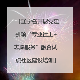 辽宁省开展党建引领“专业社工+志愿服务”融合试点社区建设培训