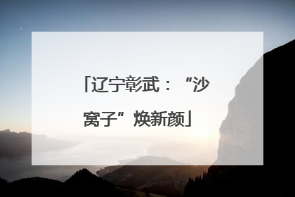 辽宁彰武：“沙窝子”焕新颜