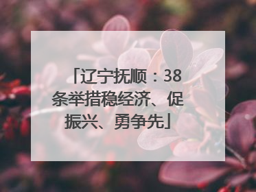 辽宁抚顺：38条举措稳经济、促振兴、勇争先